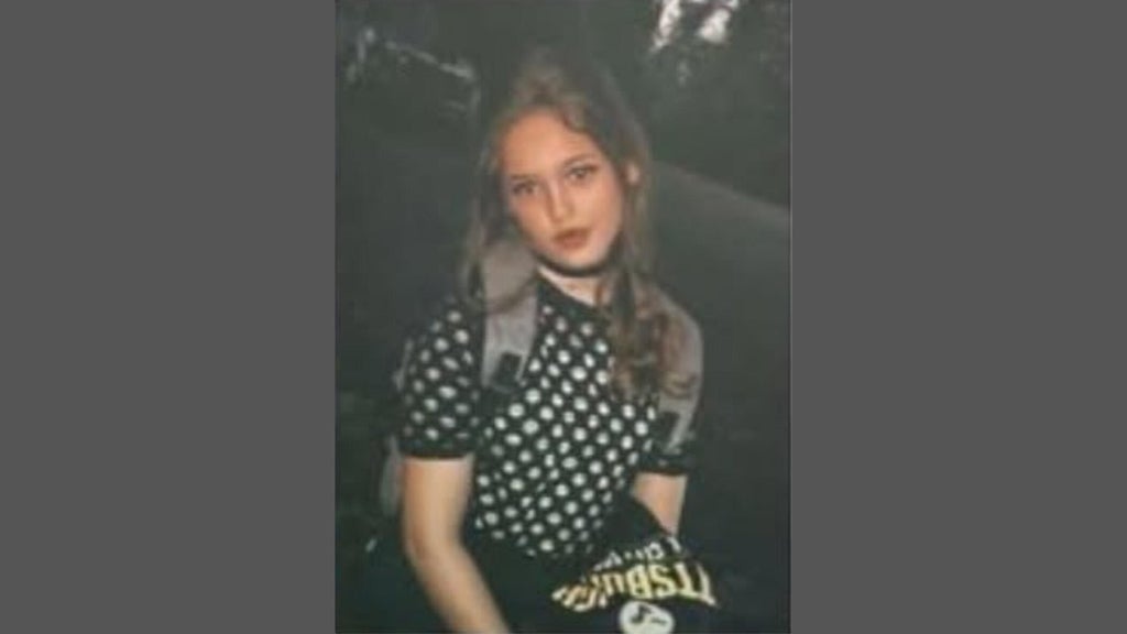 FBI joins search for Georgia 16-year-old girl who has been missing for over a week — Rome Community news