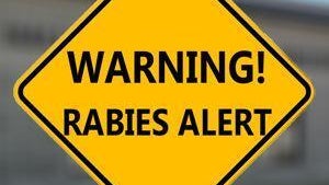 Officials urging caution after person comes into contact with rabid dog in Hall County — Rome Health news